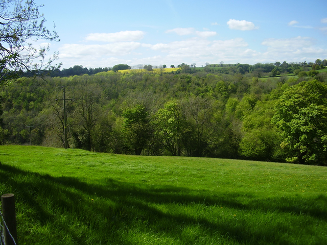 Toadsmoor Valley in the spring