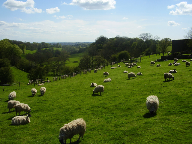 Toadsmoor Valley in the spring