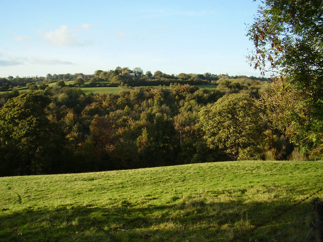 Toadsmoor Valley in the autumn