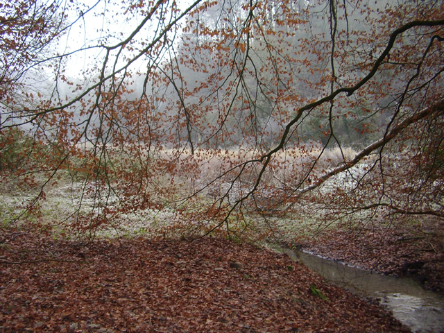 Toadsmoor Valley in the winter
